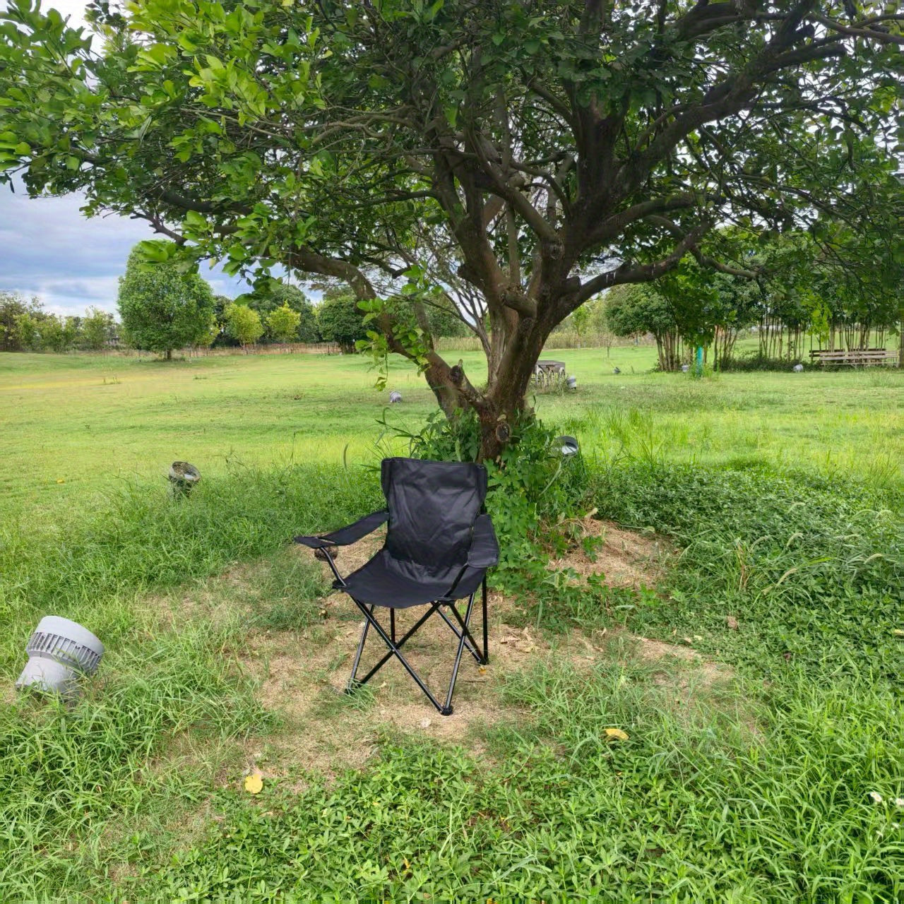 Portable Folding Camping Chair with Adjustable Backrest - Lightweight Outdoor Fishing & Picnic Chair, Durable Black Frame